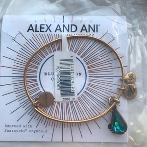 Alex and Ani bracelet